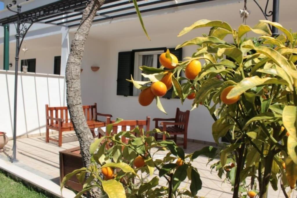 Villa Diomira Torre dell'Orso Buitenkant foto